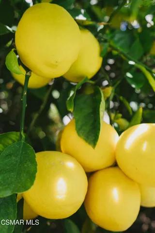 a view of a entryway