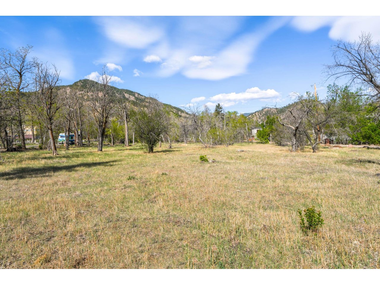 1321 9th Street, Unit A Boulder, CO 80302 - Photo 33 of 45 a view of road with large trees