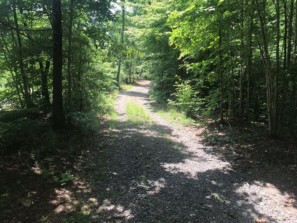 0 Rosecreek Road Murphy, NC 28906 - Photo 2 of 4