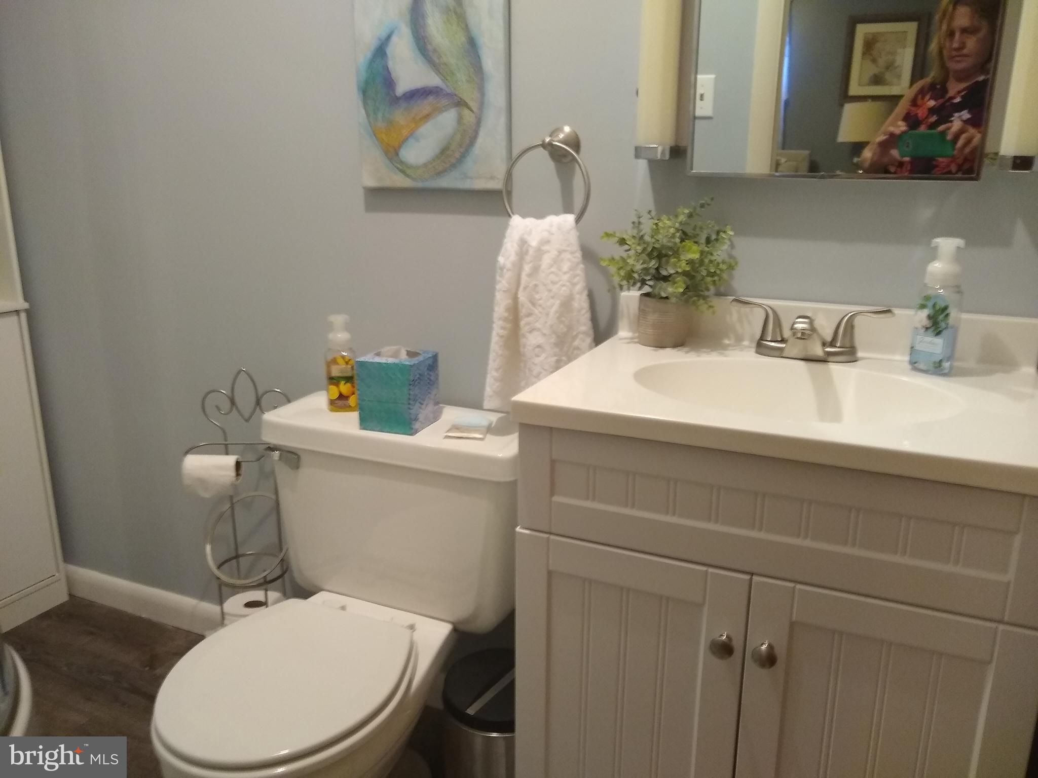 28 Grove Heights Road Berkeley Springs, WV 25411 - Photo 13 of 31 Master Bath