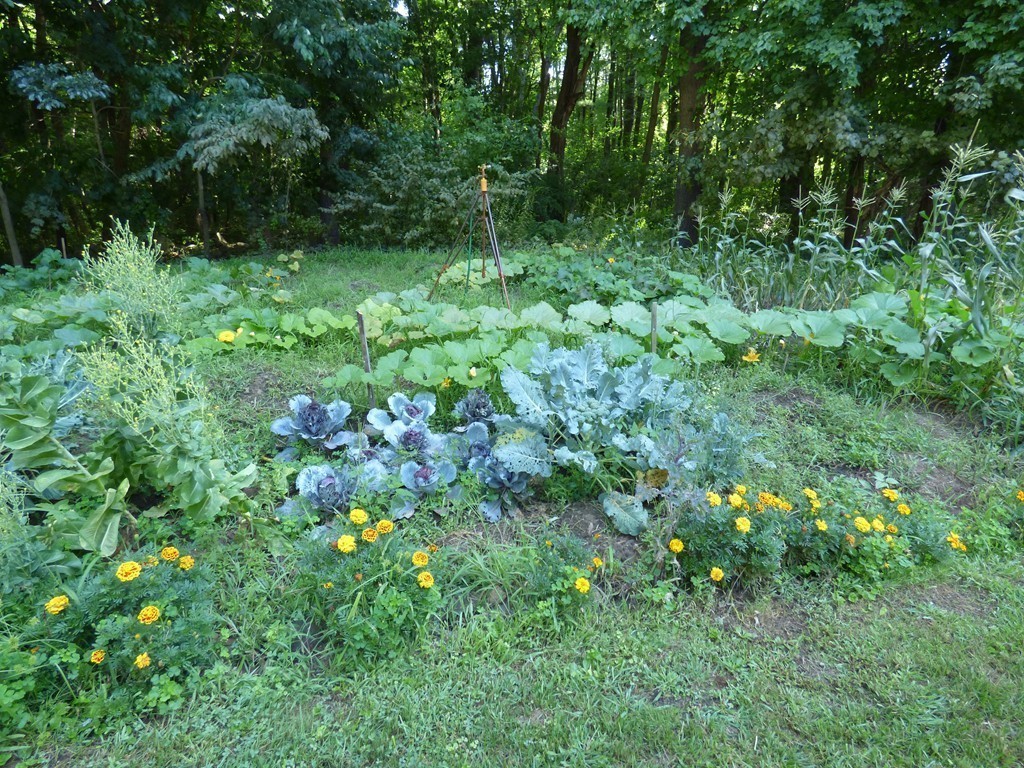 8 West Bare Hill Road Harvard, MA 01451 - Photo 24 of 30 Gallery Image 24