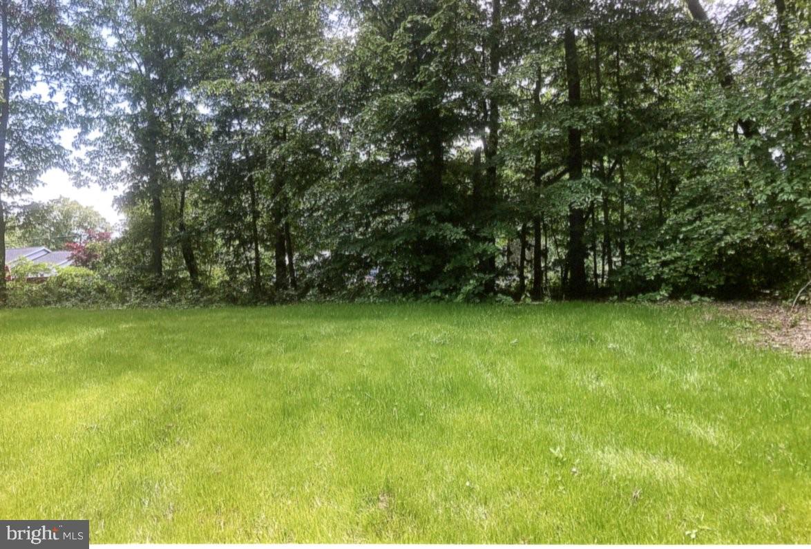 531 Bailiff Road North East, MD 21901 - Photo 3 of 27 Front Yard