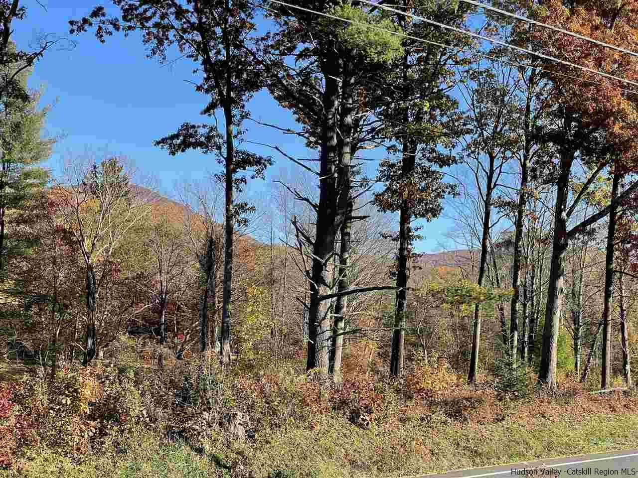 33 Longyear Road Shokan, NY 12481 - Photo 34 of 34 Photo 34