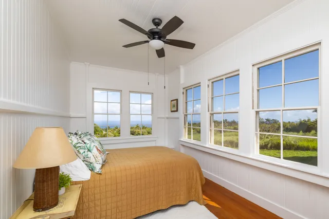 a room with furniture or couch and a potted plant