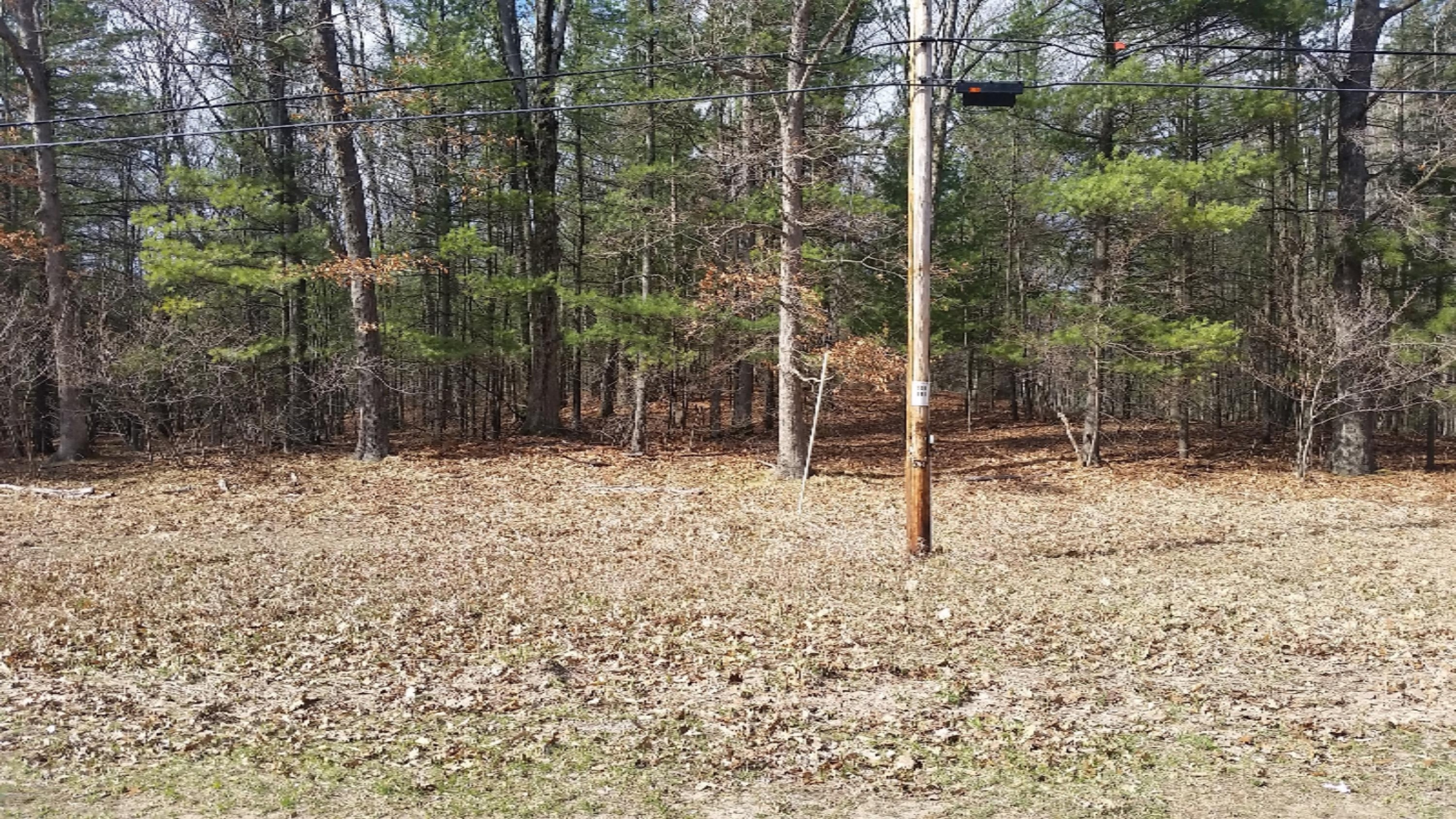 4000 West Decker Road Ludington, MI 49431 - Photo 5 of 8 decker4