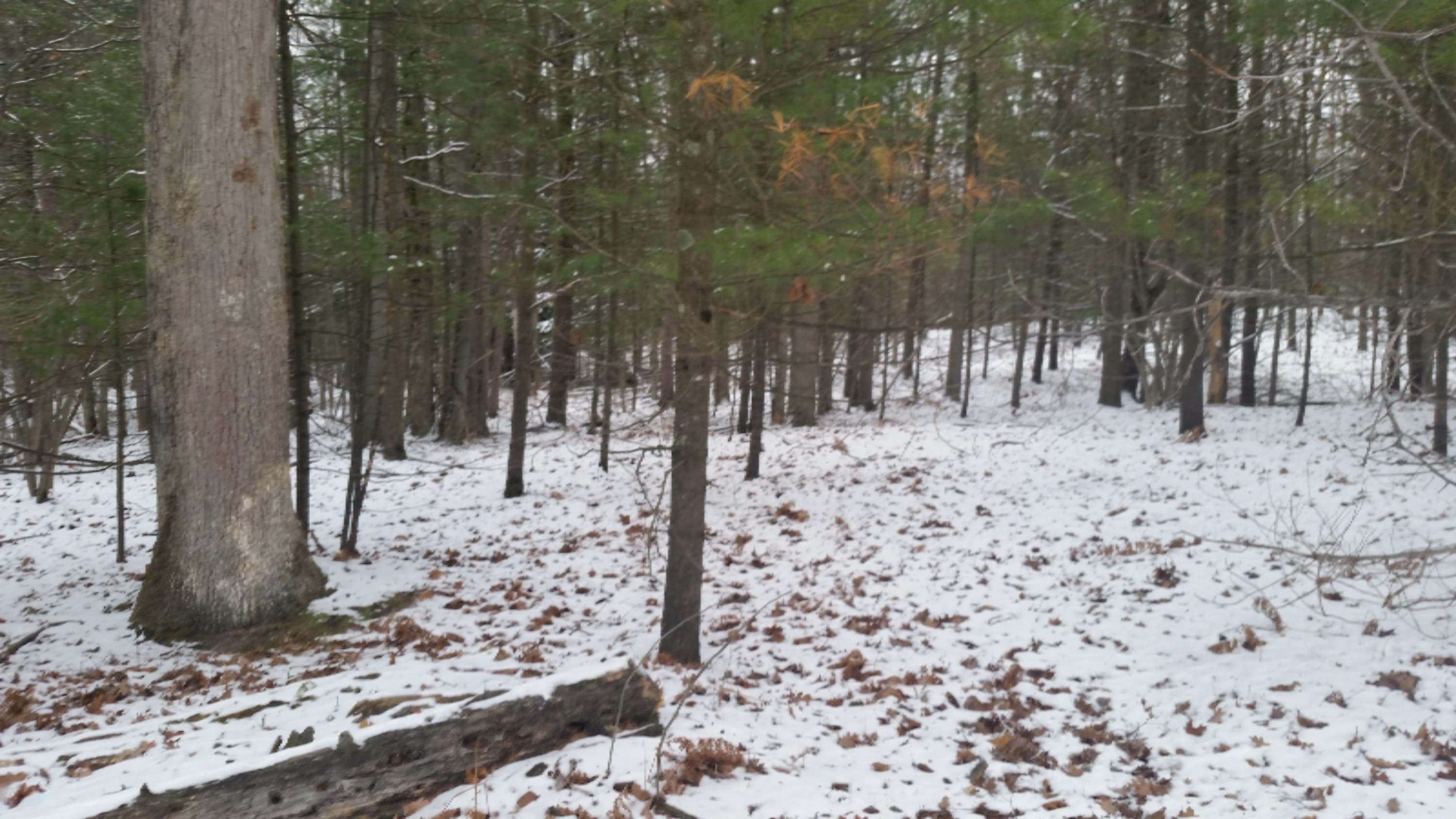 4000 West Decker Road Ludington, MI 49431 - Photo 6 of 8 carbone4