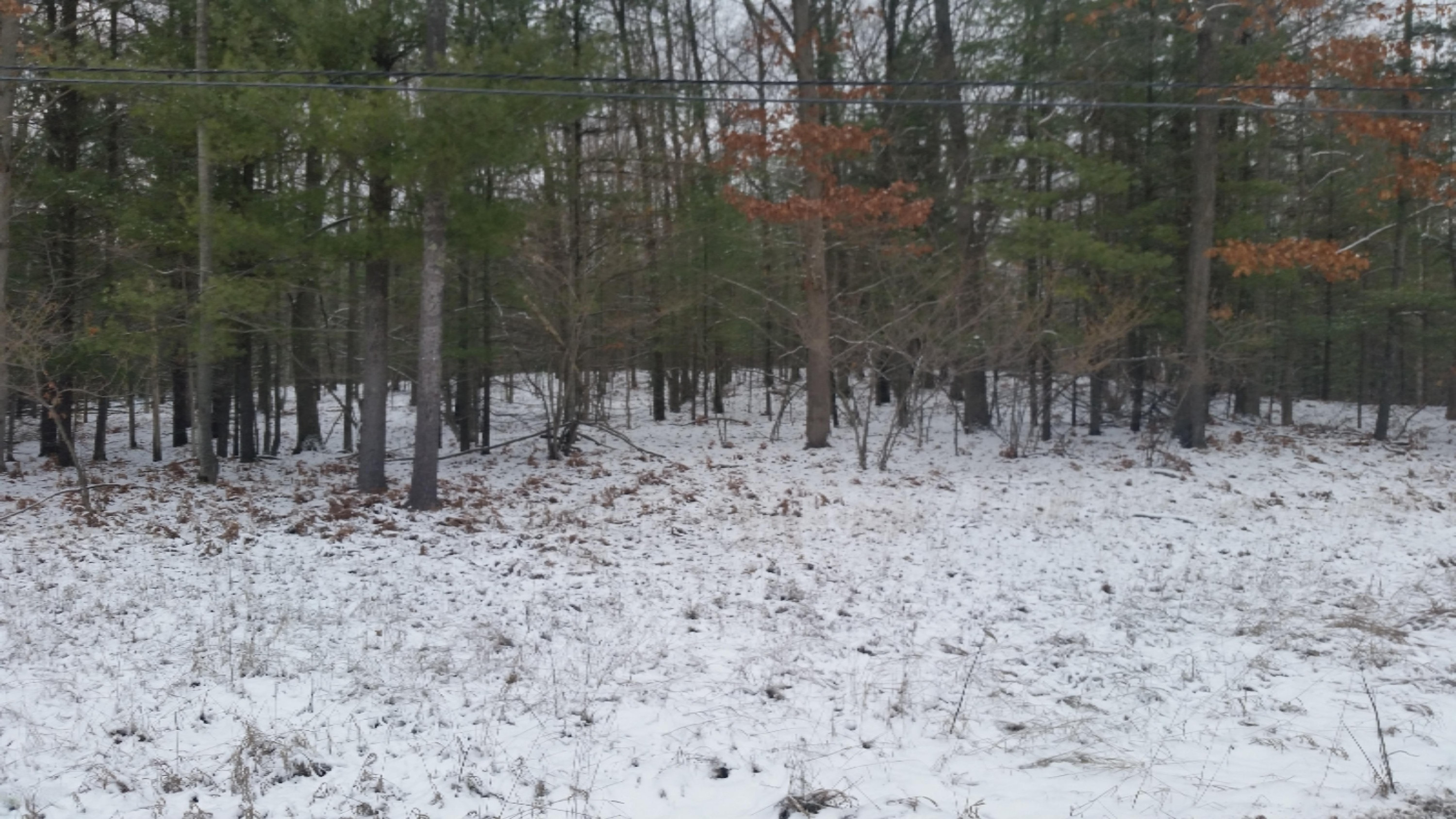 4000 West Decker Road Ludington, MI 49431 - Photo 7 of 8 carbone5