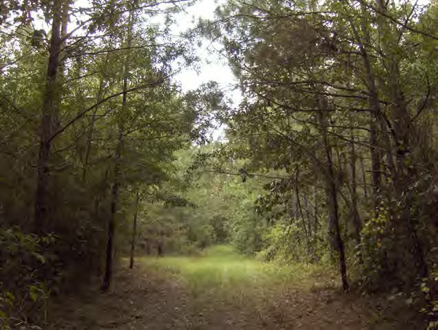 Mt Vernon Road McComb, MS 39648 - Photo 3 of 11 Additional View 2