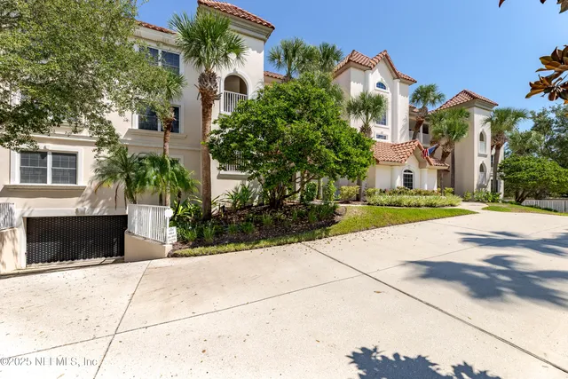 a view of a park with palm trees