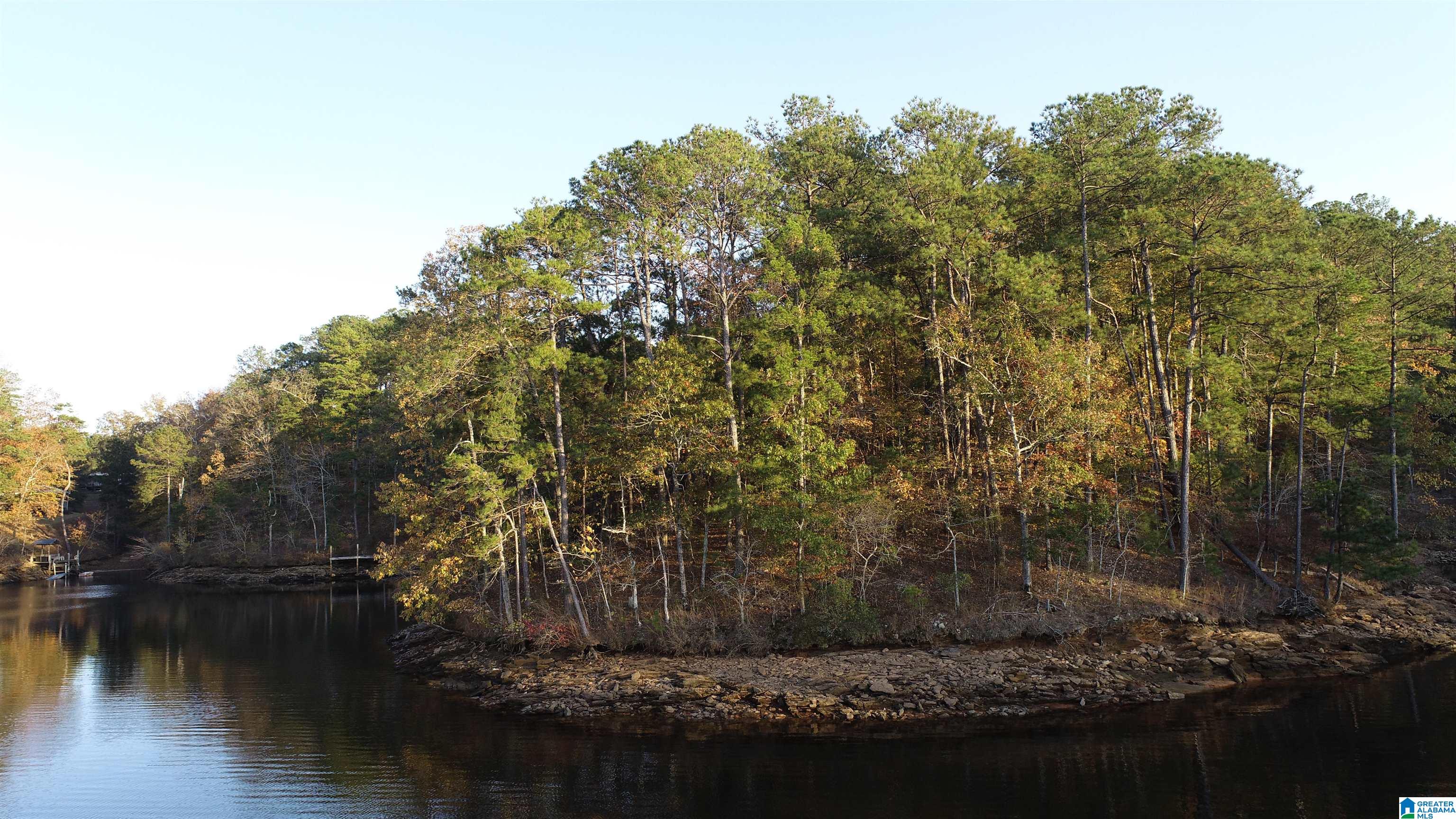 1 County Road 804, Unit 1 Heflin, AL 36264 - Photo 1 of 7