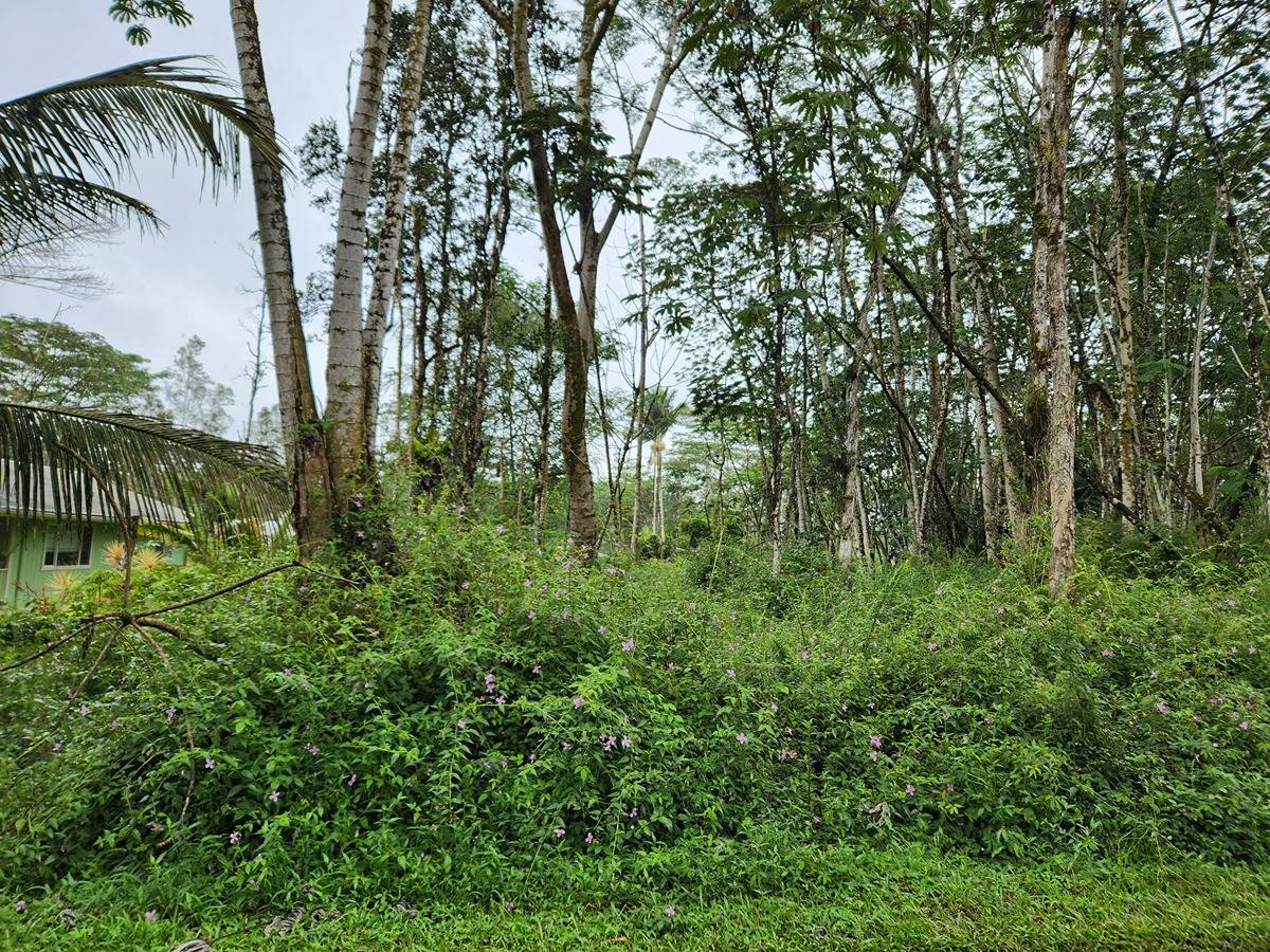 238 Paradise Road Pahoa, HI 96778 - Photo 3 of 4 Gallery Image 3