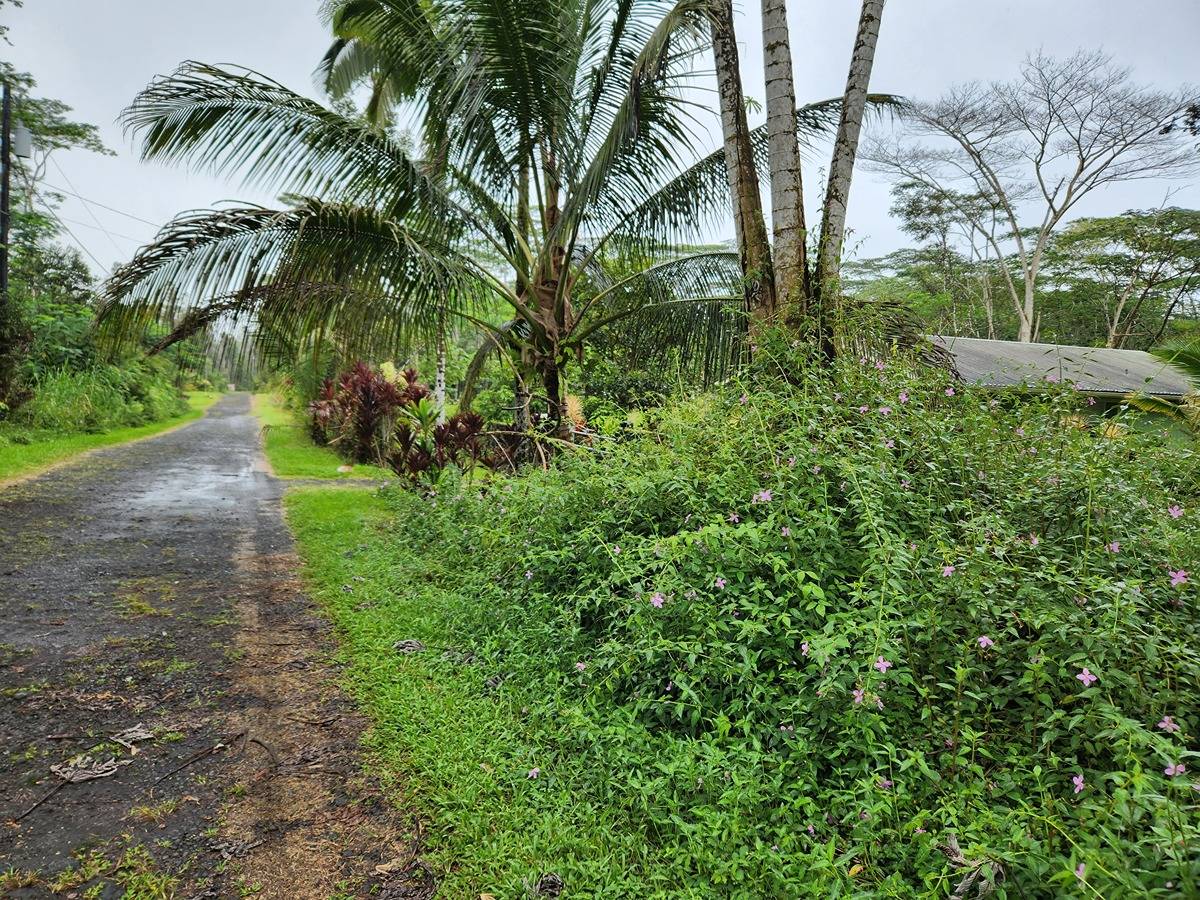 238 Paradise Road Pahoa, HI 96778 - Photo 4 of 4 Gallery Image 4
