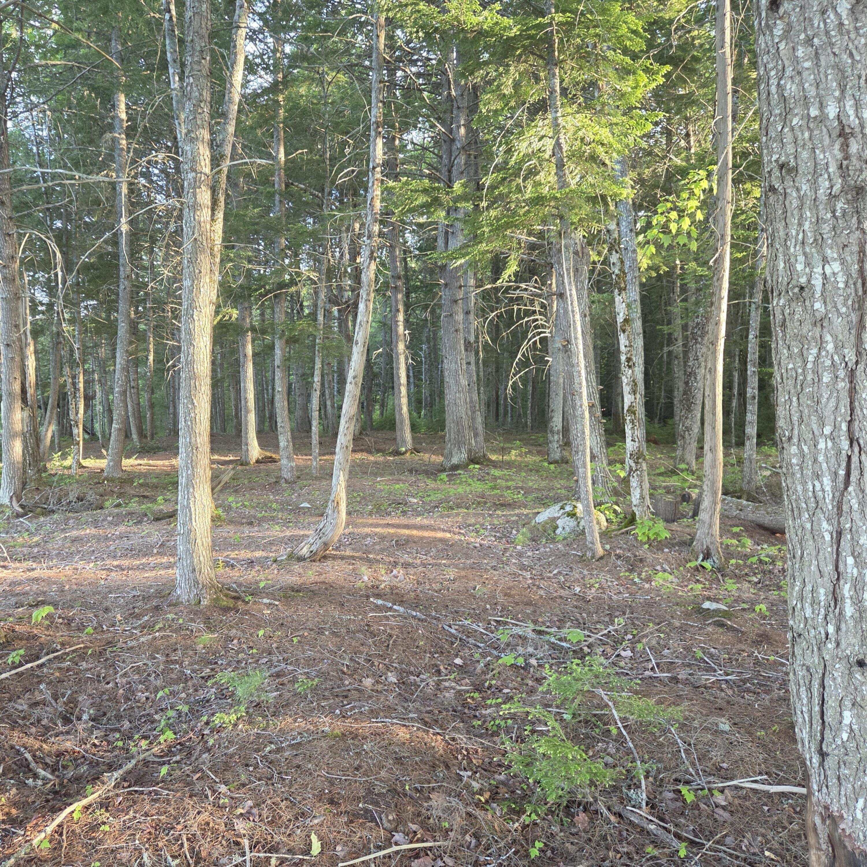 74 Eagle Ridge Road Lincoln, ME 04457 - Photo 11 of 32