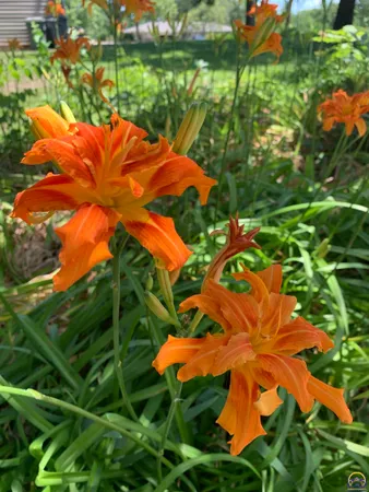 $397,000 | 2101 Canterbury Road, Emporia, KS 66801