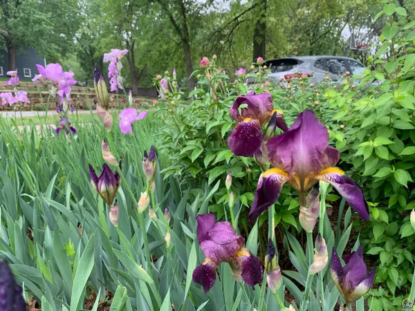 $397,000 | 2101 Canterbury Road, Emporia, KS 66801