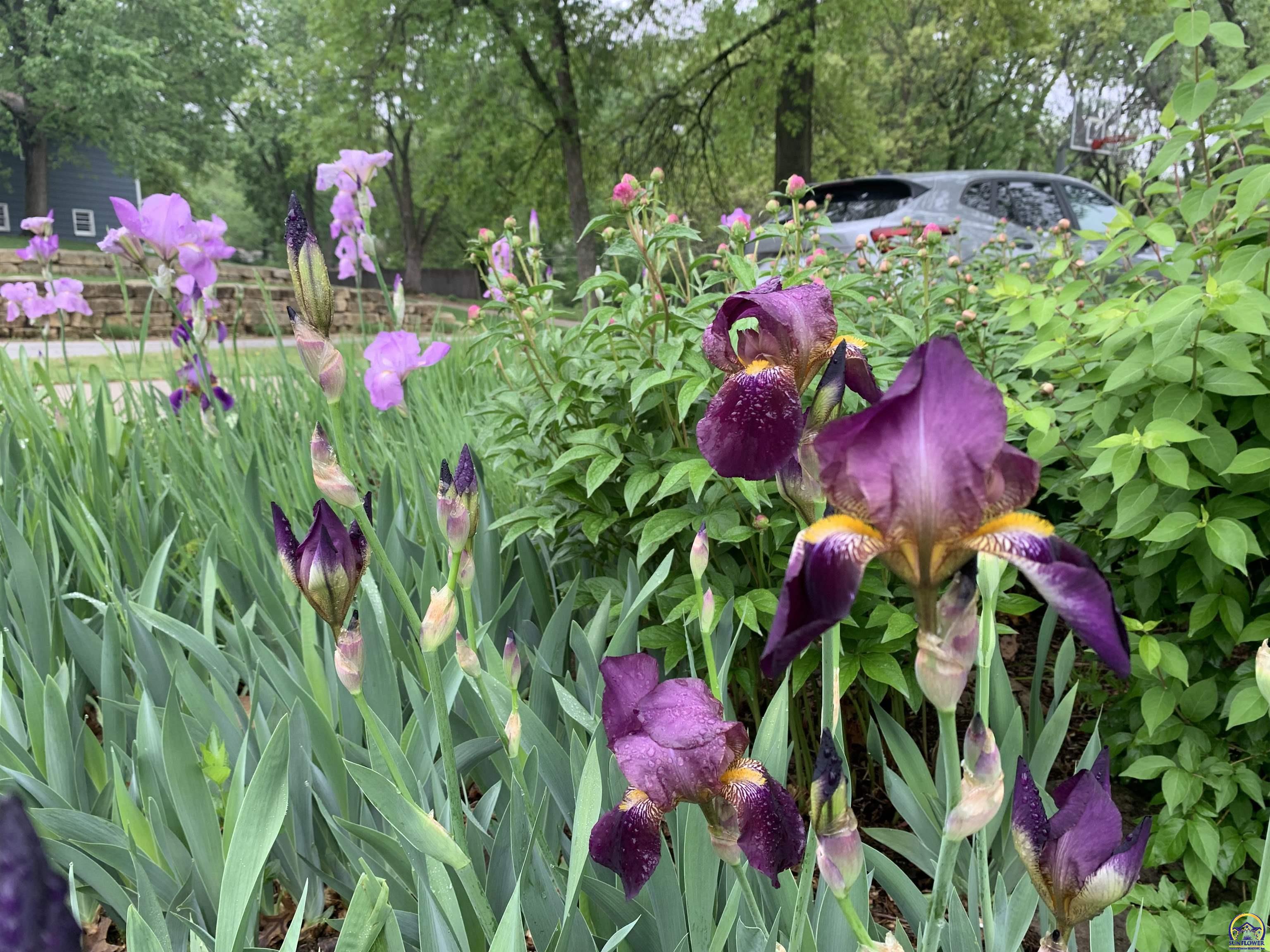 2101 Canterbury Road Emporia, KS 66801 - Photo 20 of 81 Landscaping