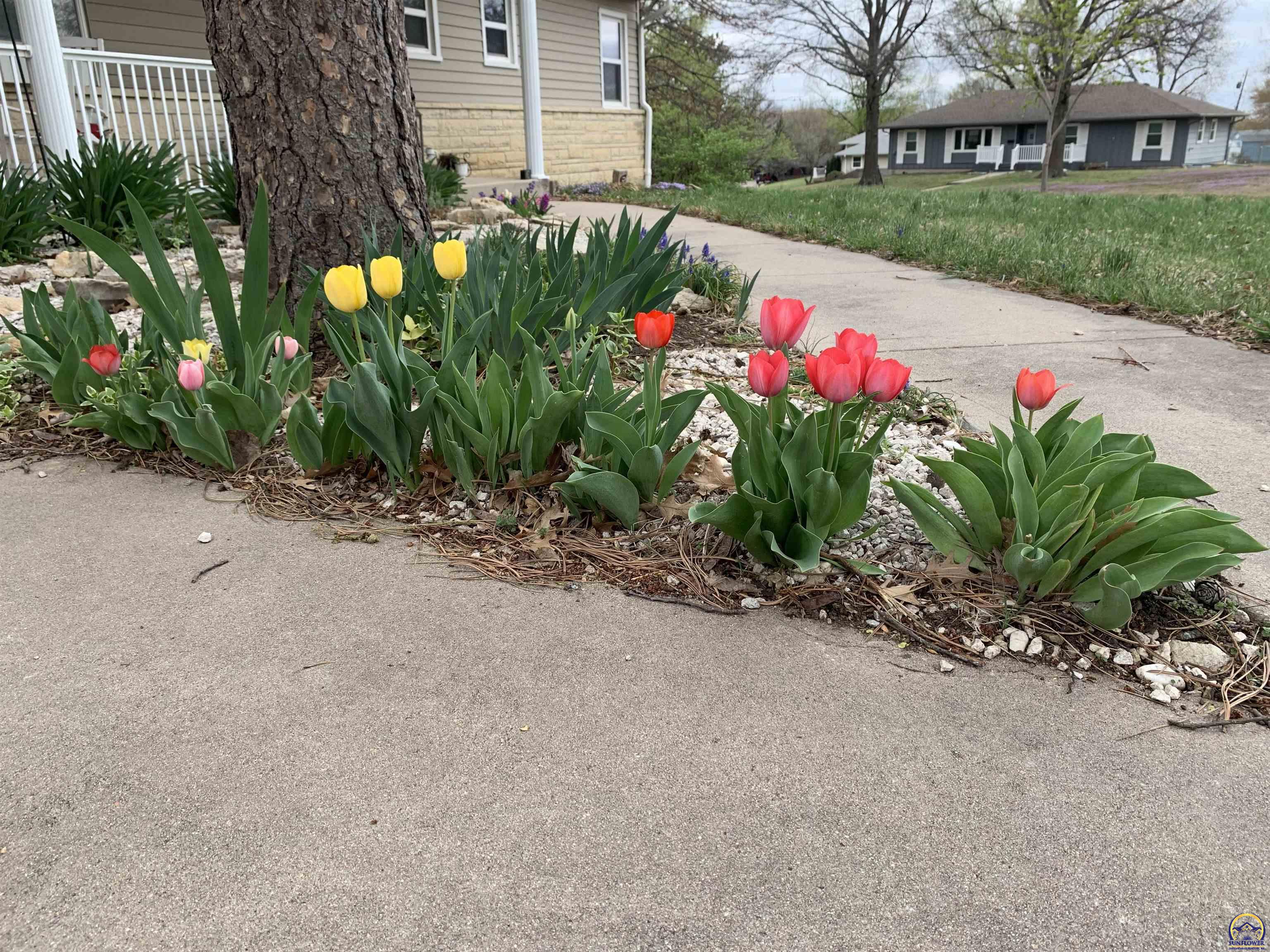 2101 Canterbury Road Emporia, KS 66801 - Photo 7 of 81 Landscaping