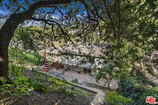 a view of a yard with plants and large trees