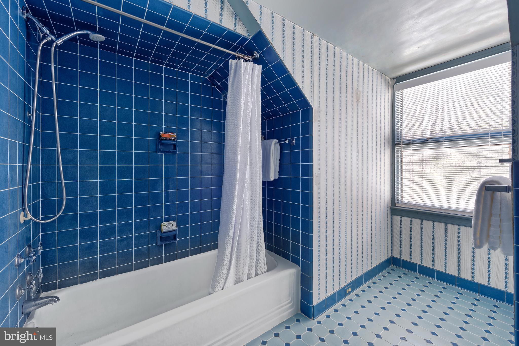 32843 Mt Weather Road Bluemont, VA 20135 - Photo 20 of 42 Full bath just outside the Primary Bedroom door