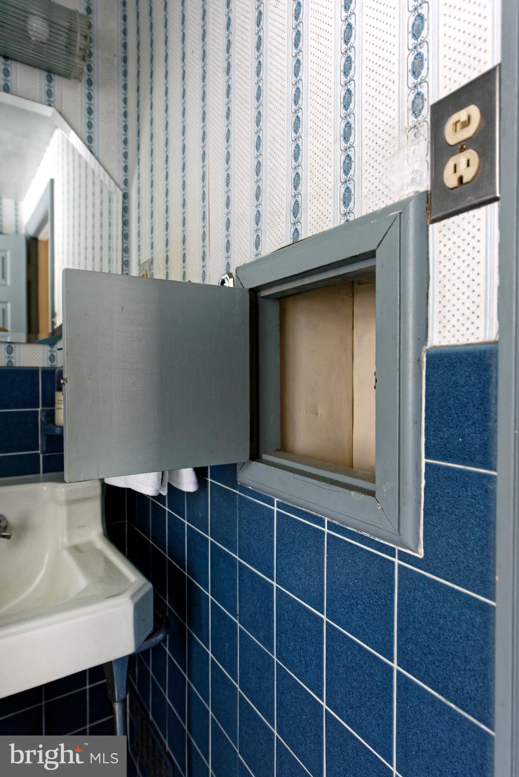 32843 Mt Weather Road Bluemont, VA 20135 - Photo 22 of 42 Old fashioned laundry shoot!