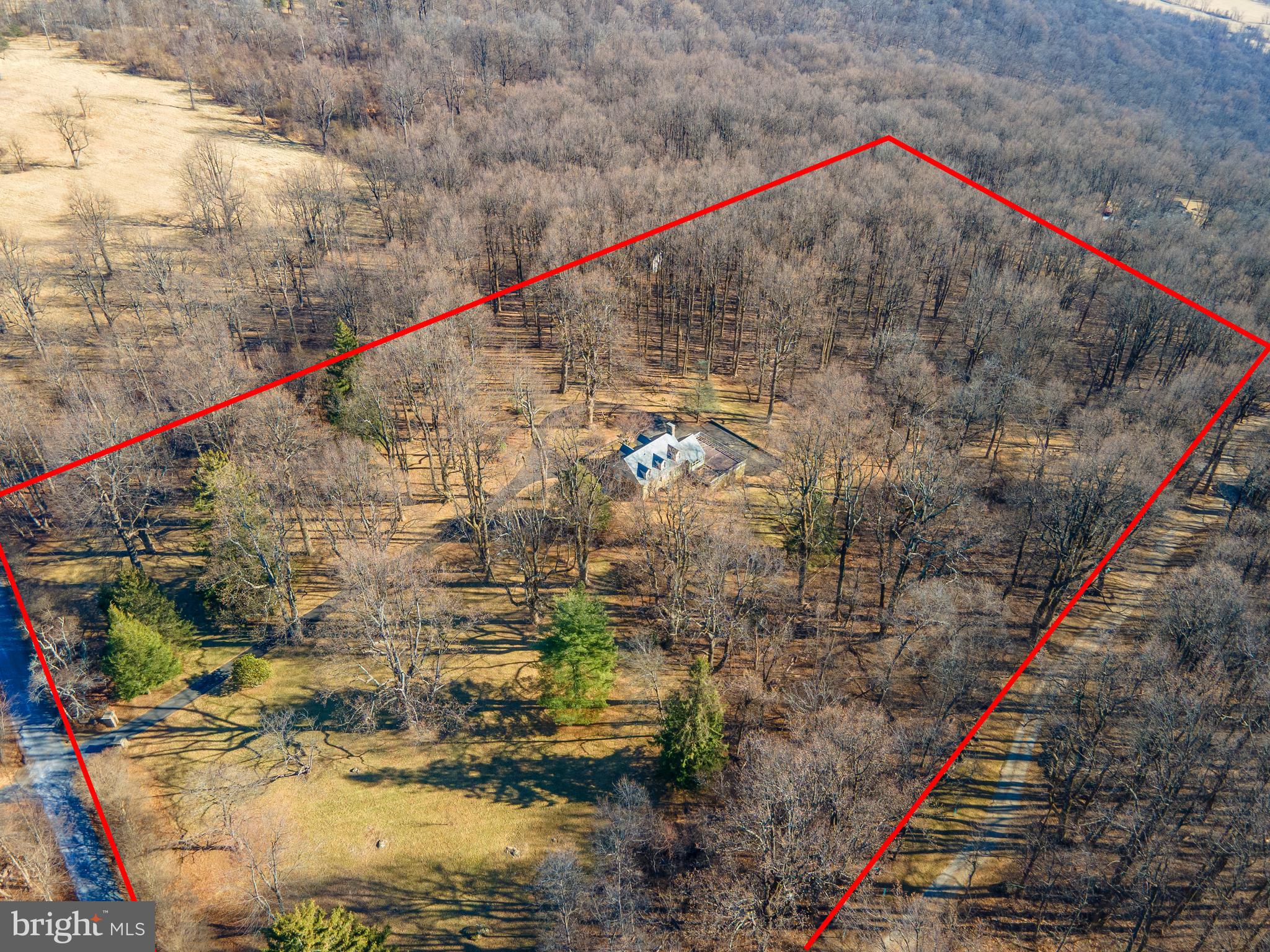 32843 Mt Weather Road Bluemont, VA 20135 - Photo 37 of 42 Property is 9.52 acres with mature trees