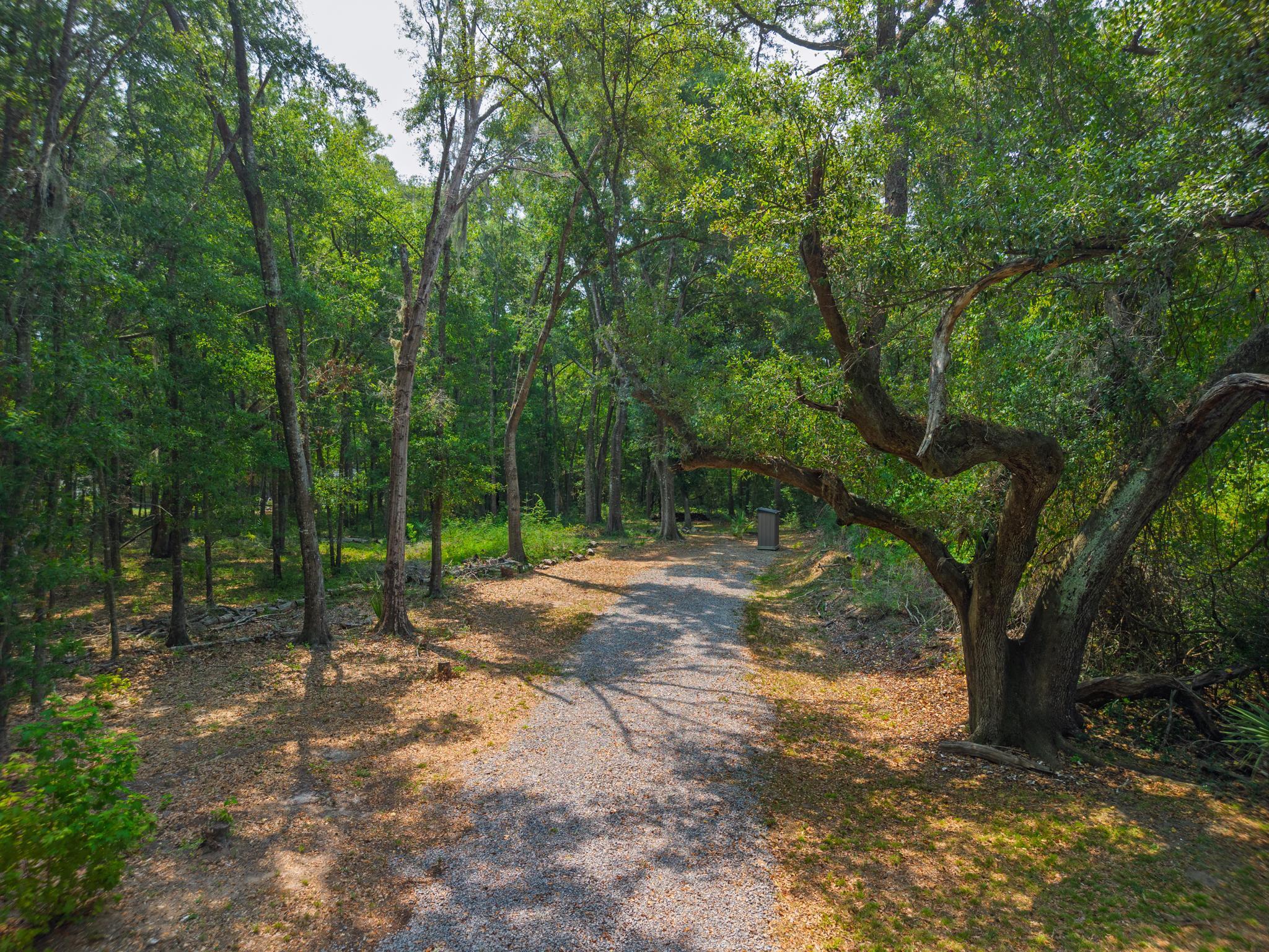 5-5a Shell House Road Edisto Island, SC 29438 - Photo 12 of 25 untitled-12