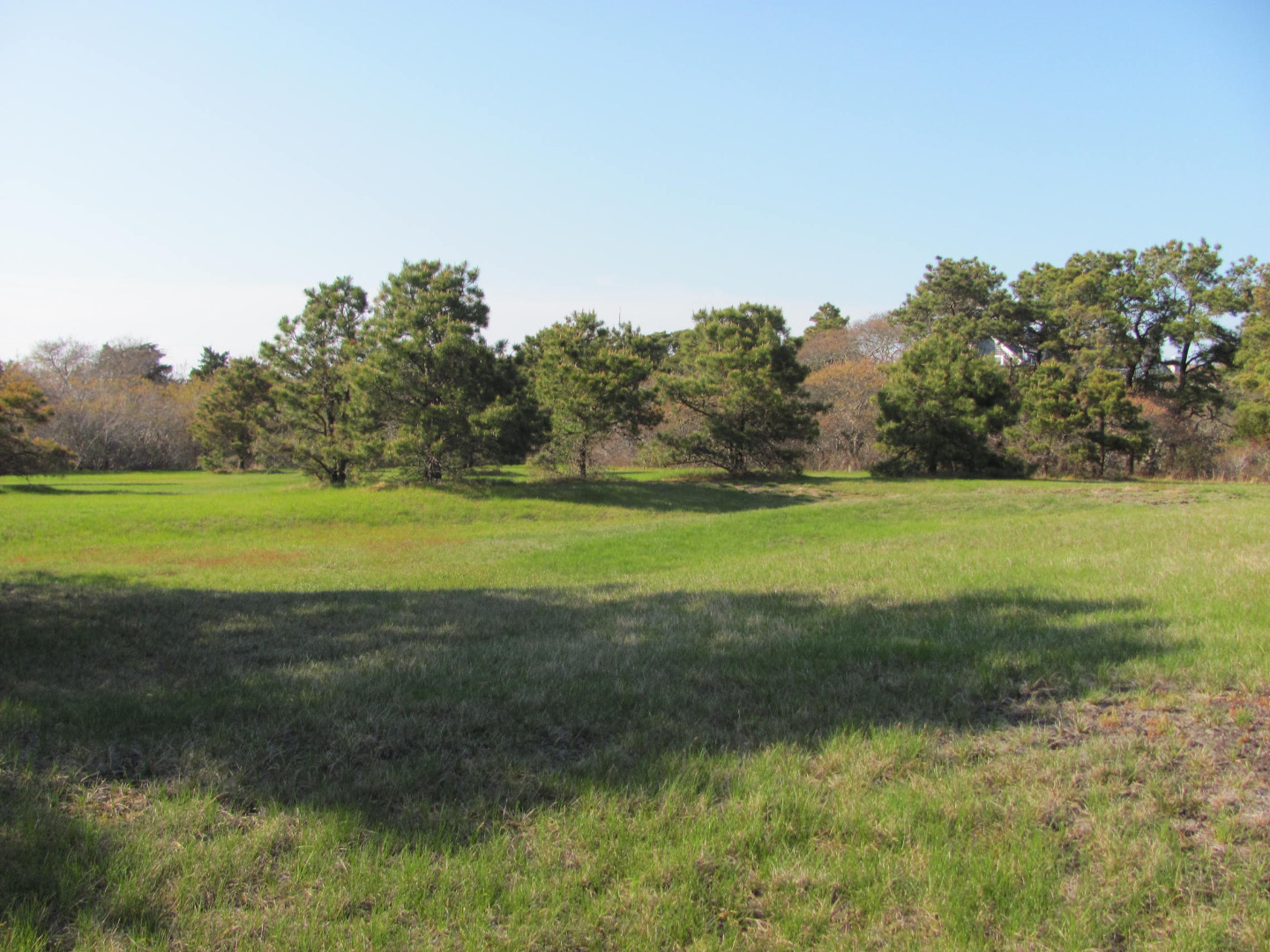 14 Brewster Road Nantucket, MA 02554 - Photo 2 of 4 Gallery Image 2