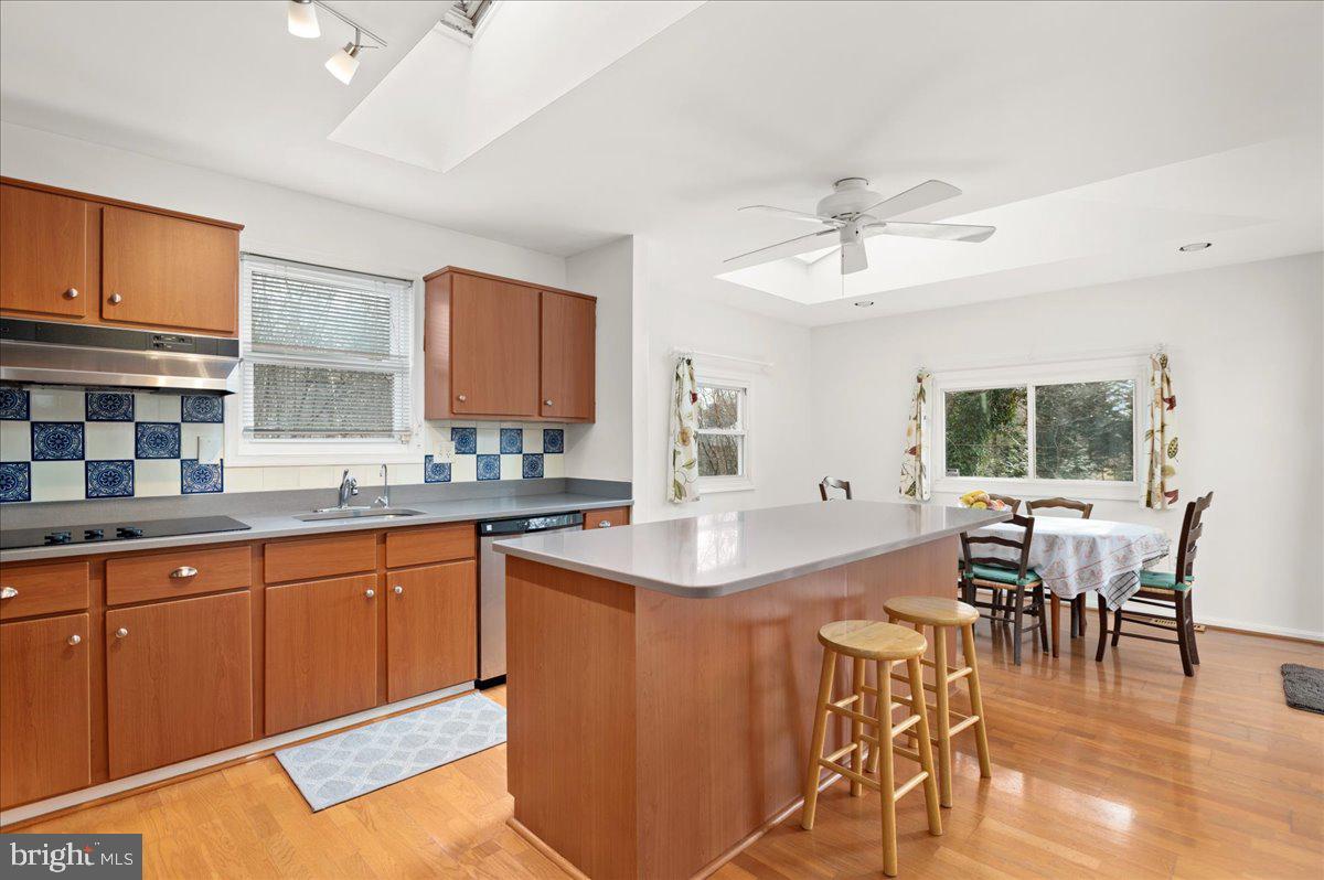 8606 Grubb Road Chevy Chase, MD 20815 - Photo 10 of 31 Skylights in the kitchen!