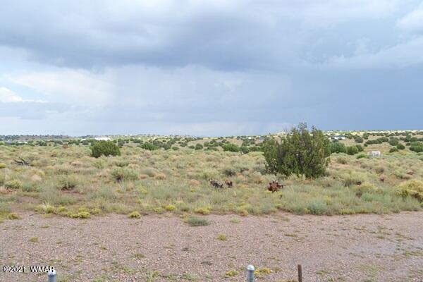5253 White Antelope Road Snowflake, AZ 85937 - Photo 20 of 45 Gallery Image 20