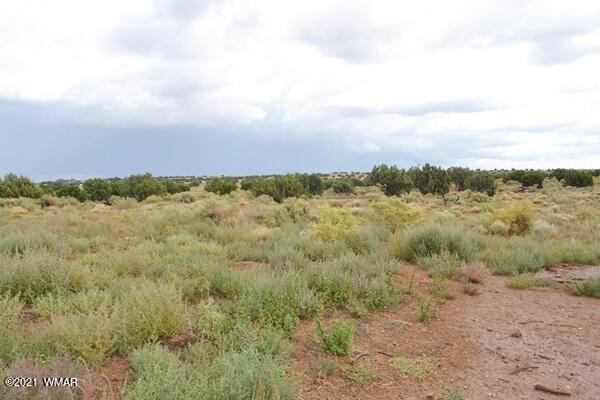 5253 White Antelope Road Snowflake, AZ 85937 - Photo 28 of 45 Gallery Image 28