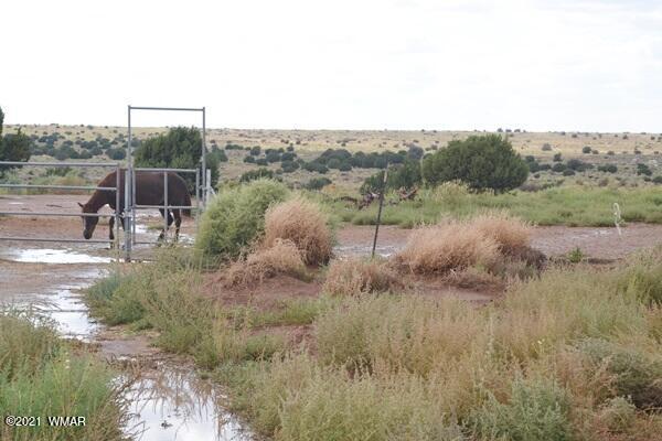 5253 White Antelope Road Snowflake, AZ 85937 - Photo 33 of 45 Gallery Image 33