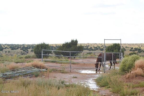 5253 White Antelope Road Snowflake, AZ 85937 - Photo 35 of 45 Gallery Image 35