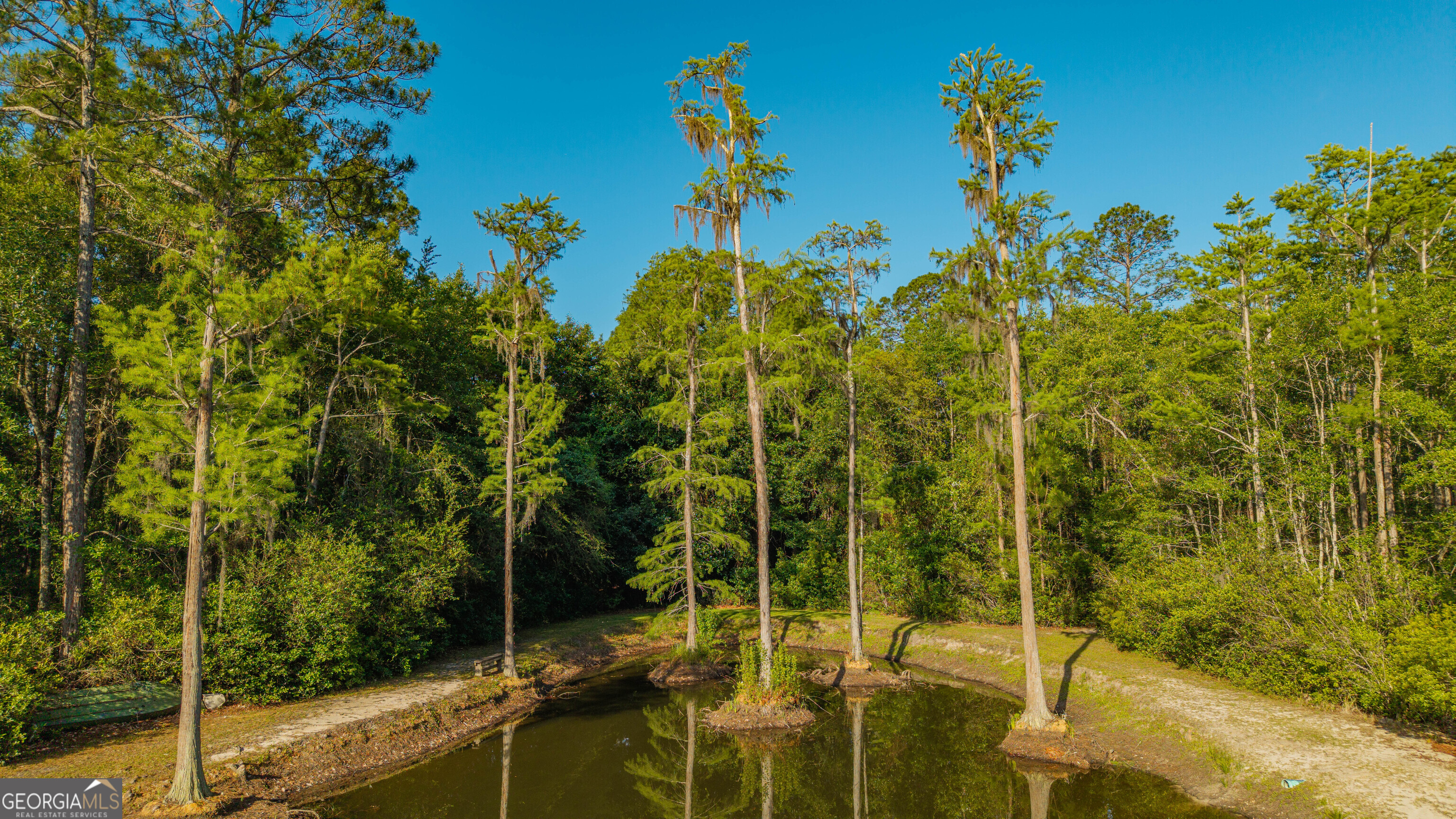 3907 Shiloh Highway Homerville, GA 31634 - Photo 22 of 59