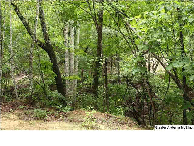 Cook Springs Road, Unit 320 Pell City, AL 35125 - Photo 17 of 24 Gallery Image 17
