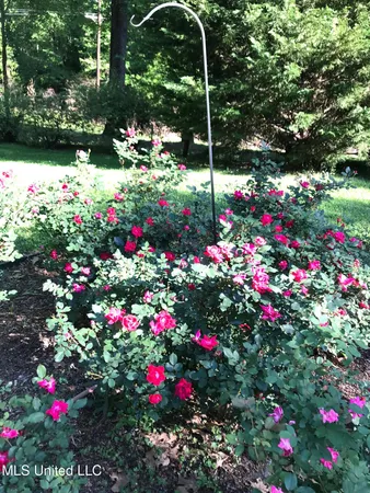 $495,000 | 153 Dunbar Road, Natchez, MS 39120