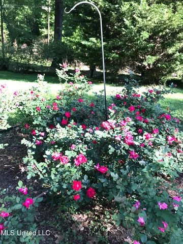 $495,000 | 153 Dunbar Road, Natchez, MS 39120