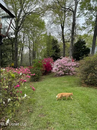 $495,000 | 153 Dunbar Road, Natchez, MS 39120