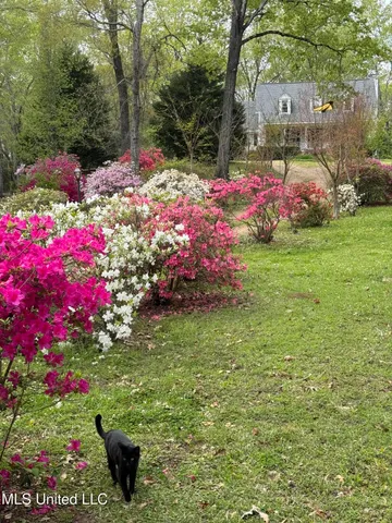 $495,000 | 153 Dunbar Road, Natchez, MS 39120