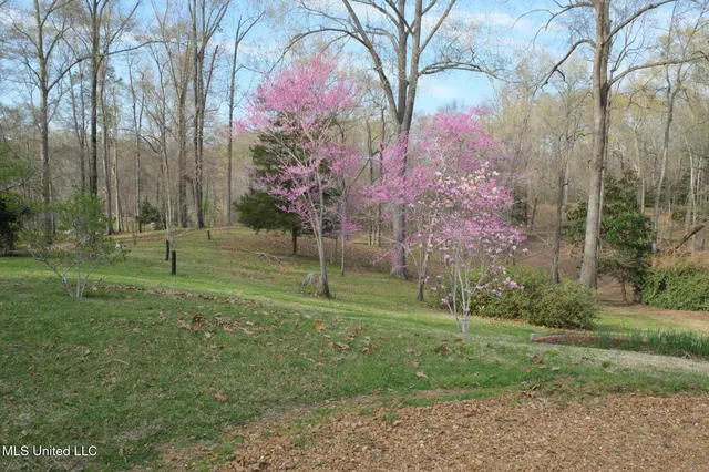 $495,000 | 153 Dunbar Road, Natchez, MS 39120