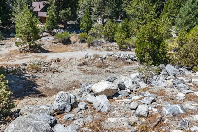 a view of a covered with trees in a forest