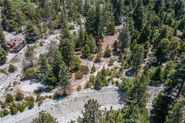 a view of a lush green yard with large trees