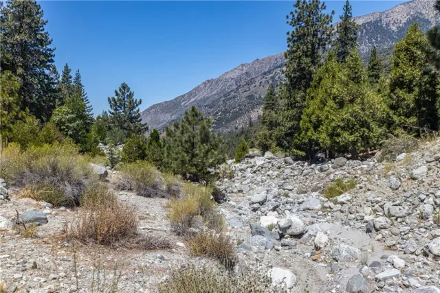 a view of a dry yard with lots of bushes
