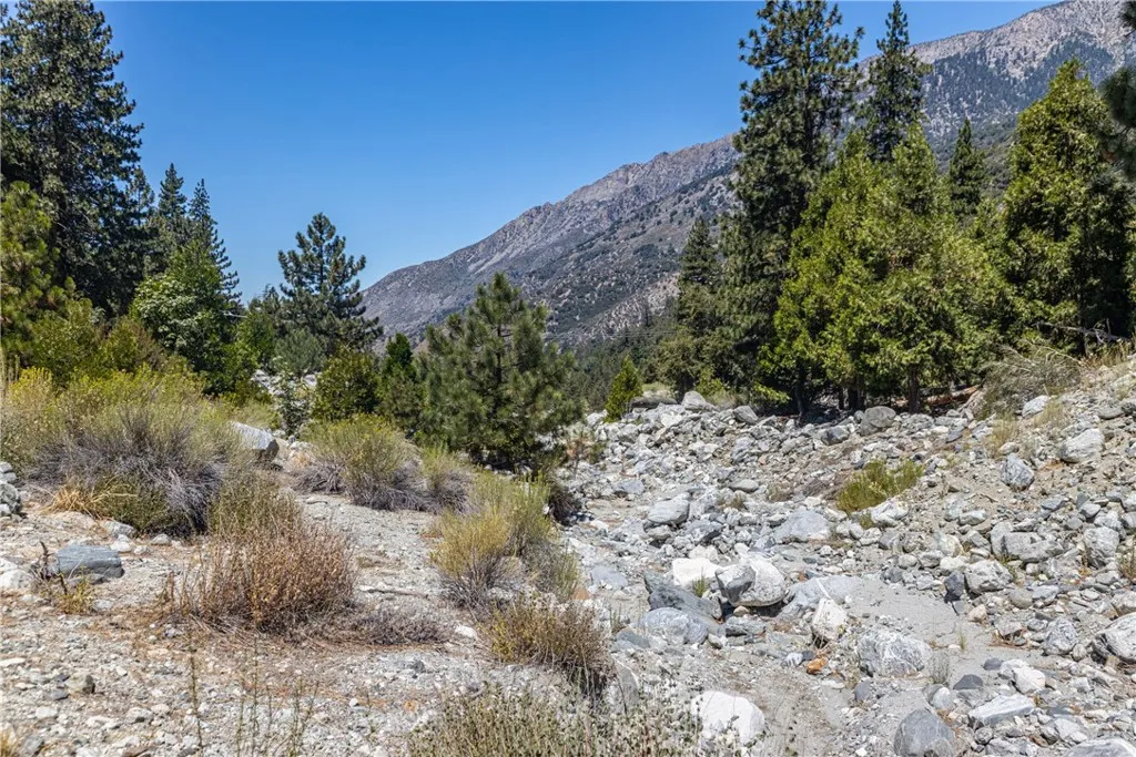 0 Quercus Lane Forest Falls, CA 92339 - Photo 4 of 24 a view of a dry yard with lots of bushes