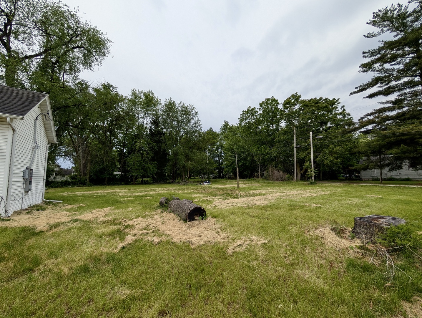440 North Campbell Street Macomb, IL 61455 - Photo 11 of 50 a view of backyard with trampoline