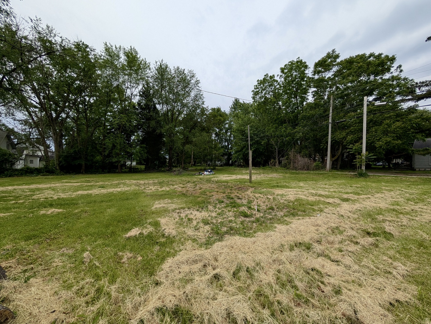 440 North Campbell Street Macomb, IL 61455 - Photo 9 of 50 a view of a field with a tree in the background