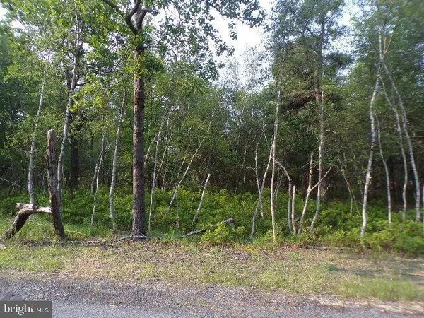 $17,000 | Lot 4403 Claremont Drive, Albrightsville, PA 18210