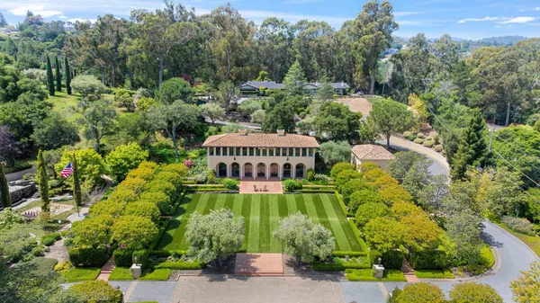 a view of a garden with plants