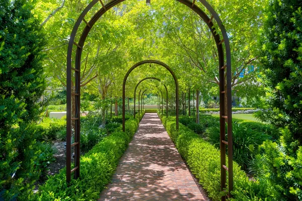 a view of a garden