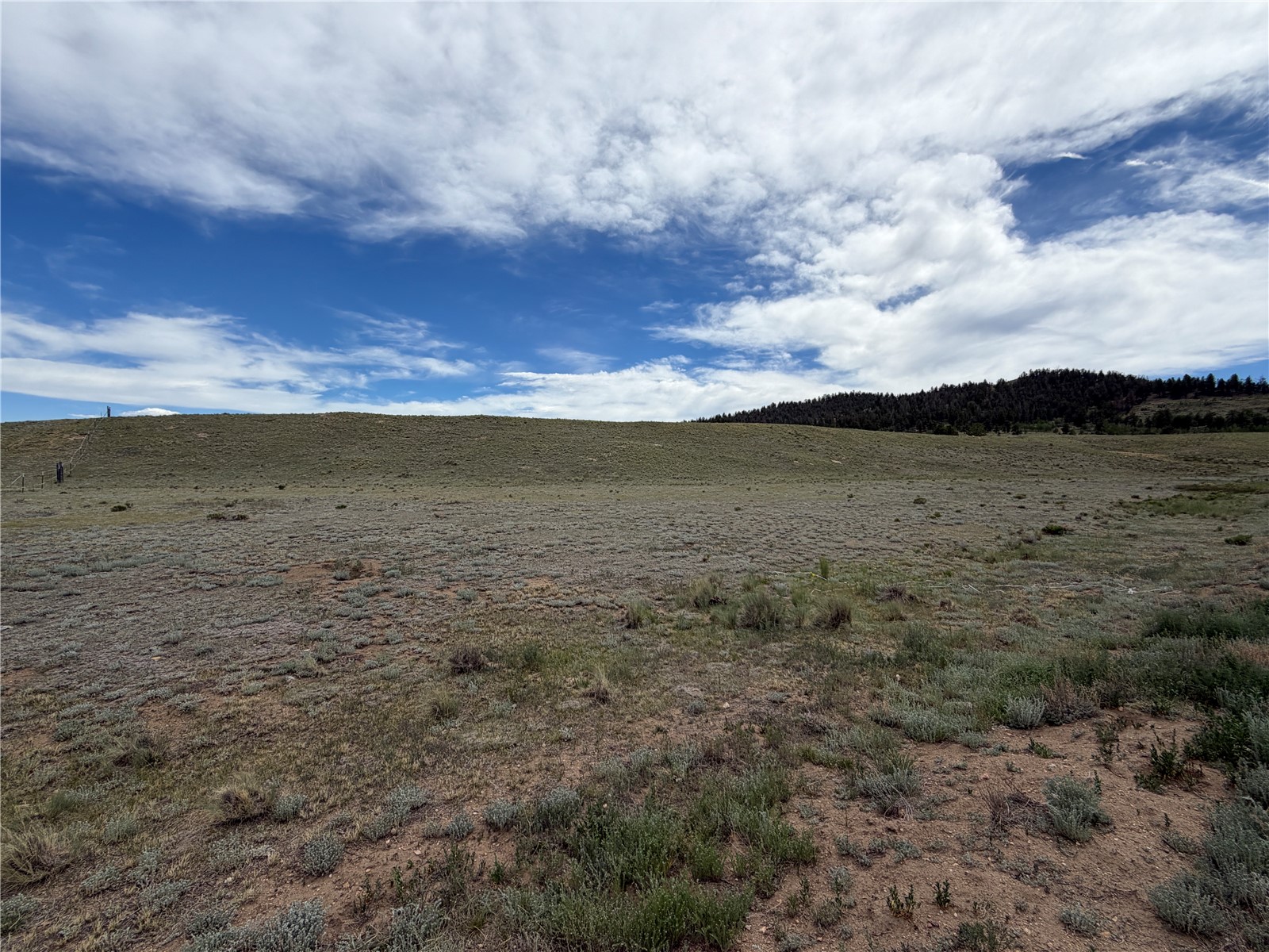 776 Commanche Trail Hartsel, CO 80449 - Photo 4 of 24