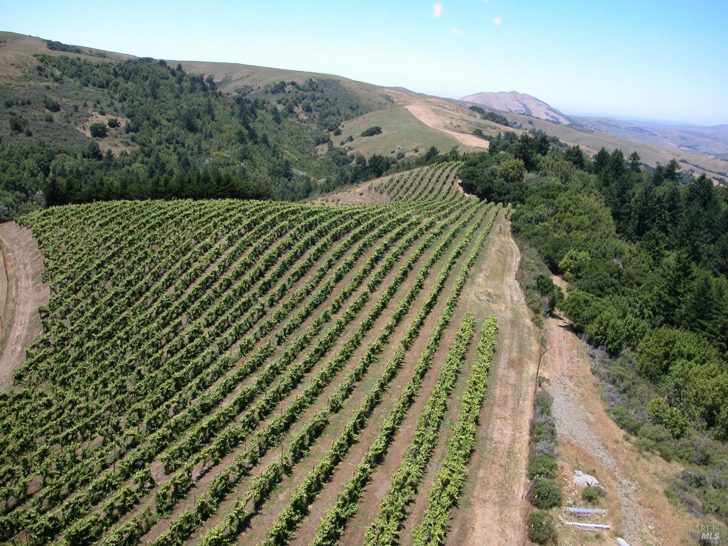 200 Rd To Ranch Nicasio, CA 94946 - Photo 34 of 37 Gallery Image 34